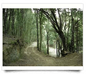 sacquacallenti