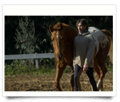 stage_equestre