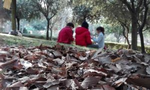 ELFI in Città 2019