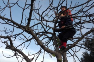 Elfi in città. Bambini al Parco di Molentargius