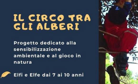 Monte Urpinu: Cagliari bambini  Il circo tra gli alberi,