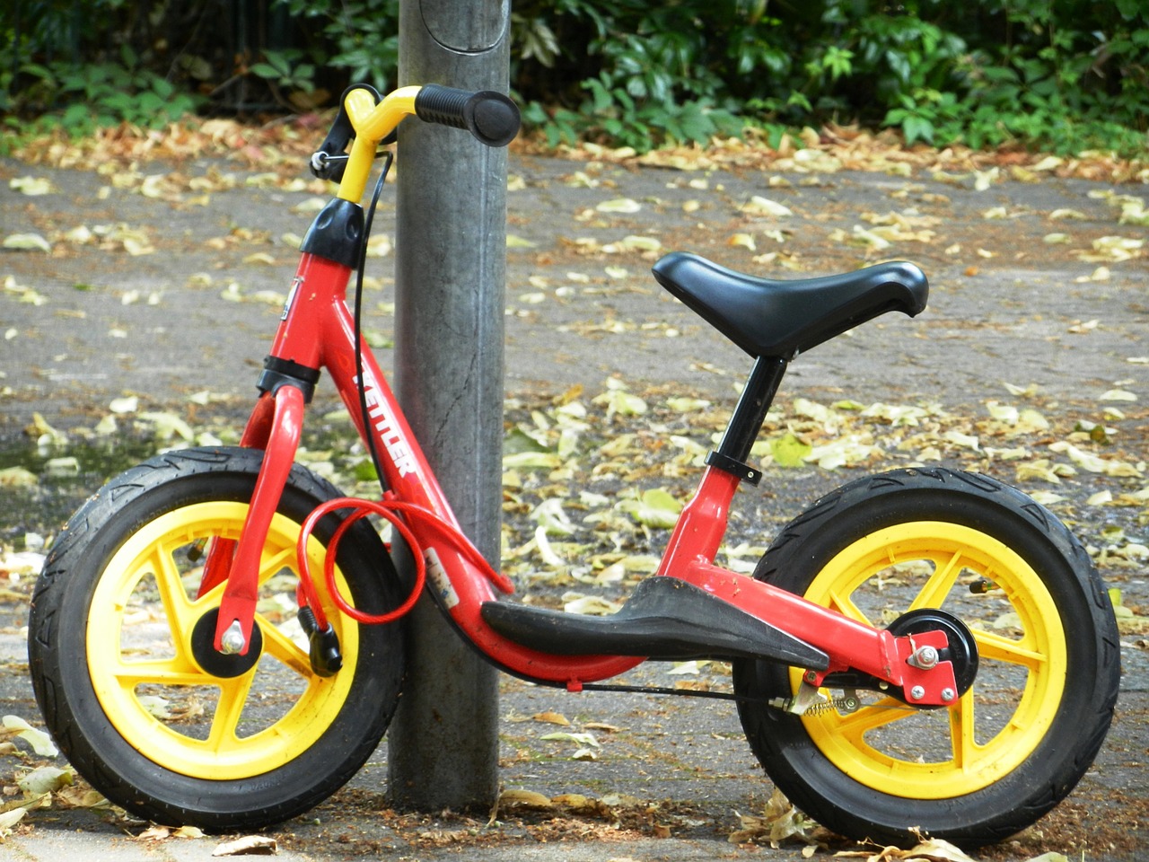 Laboratori bici per bambini  